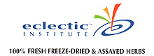 Eclectic Institute Inc.
